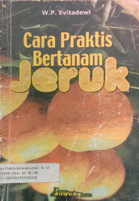 BERTANAM JERUK