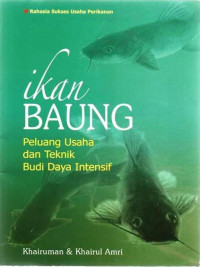 IKAN BAUNG